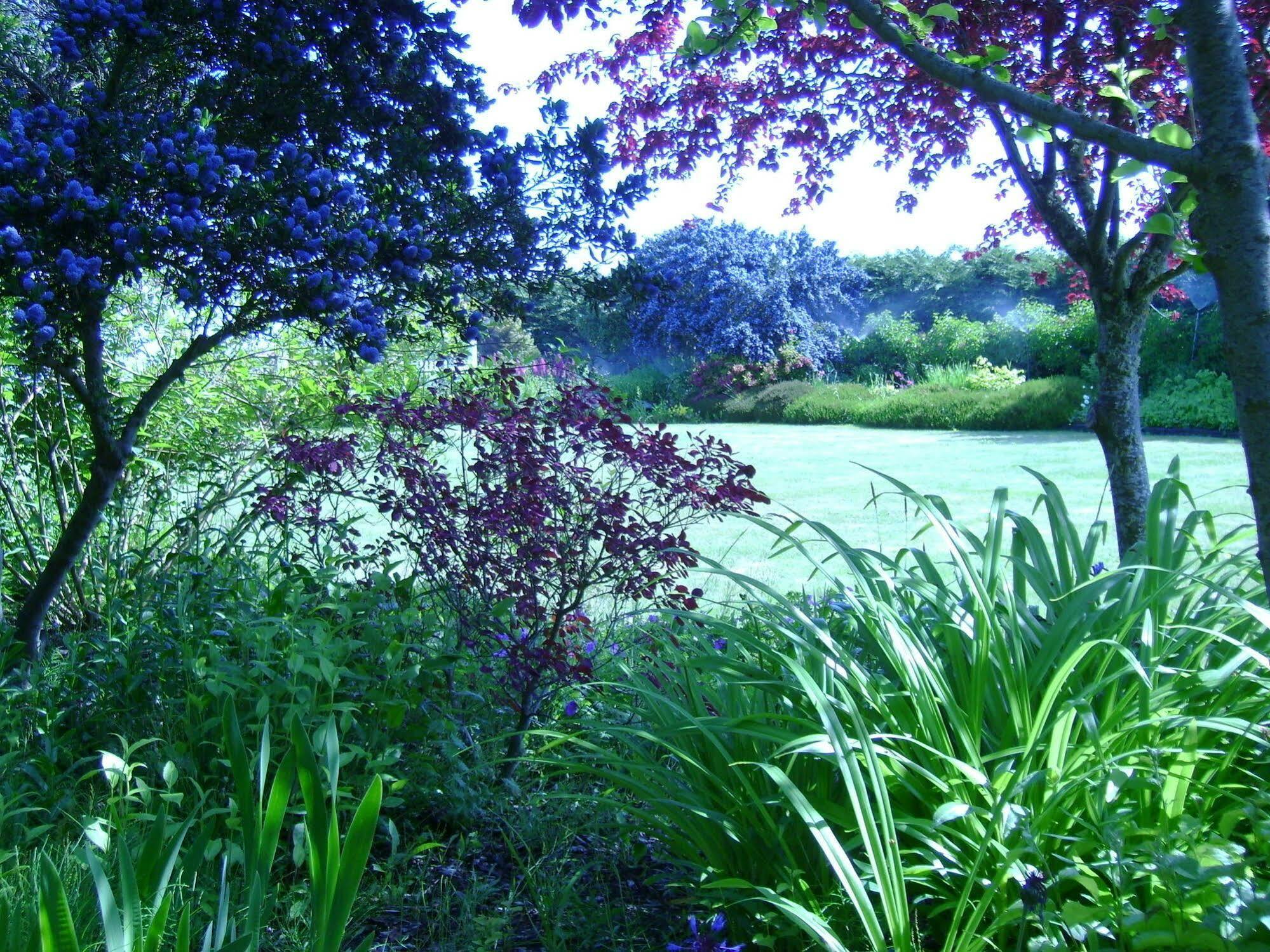 Sea Cliff Gardens Port Angeles Exterior foto